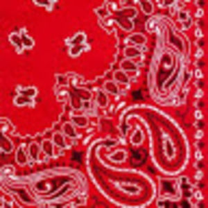 Meet your Posher, Elias